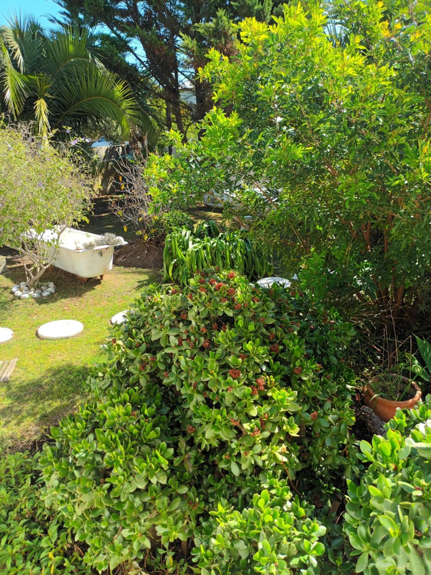 Self Catering Unit 6, Sandbaai Hermanus Quarto foto